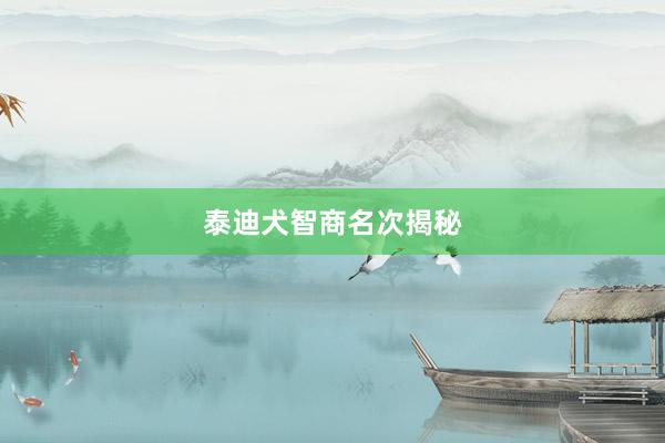 泰迪犬智商名次揭秘