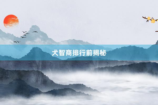 犬智商排行前揭秘