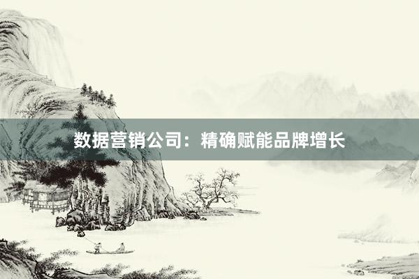 数据营销公司：精确赋能品牌增长
